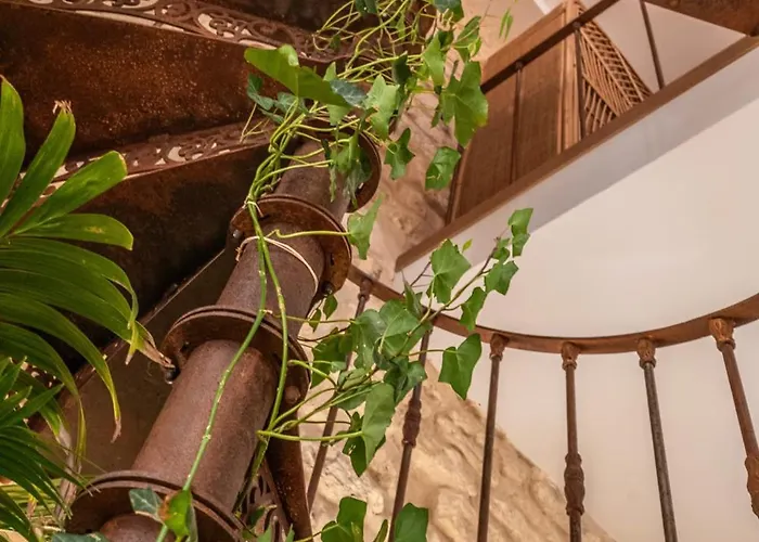 Duplex D'exception Et Atypique A Montmartre *